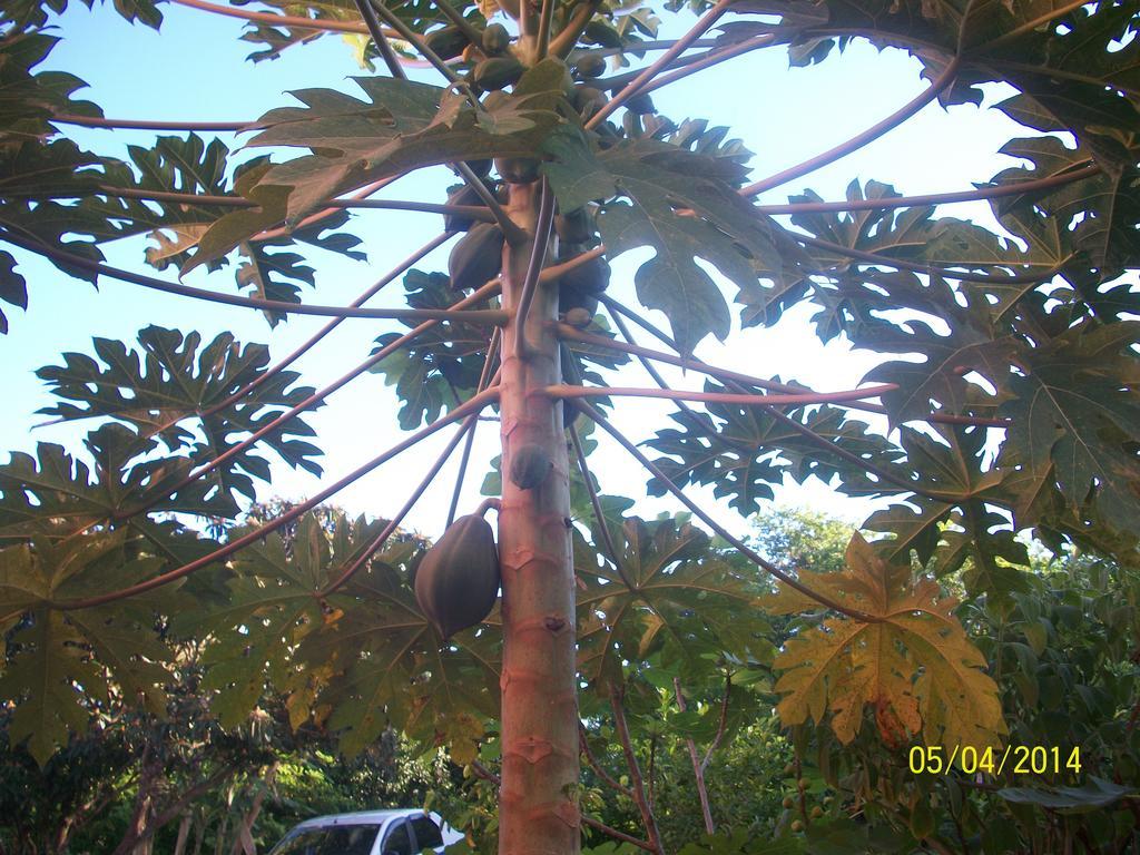 Pousada Pimenta Rosa Saquarema Buitenkant foto