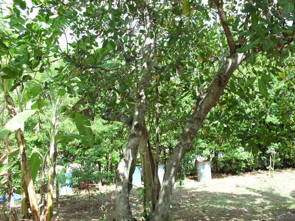 Pousada Pimenta Rosa Saquarema Buitenkant foto